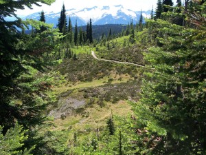 balancing happiness and ambition