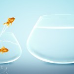 Taking that big leap