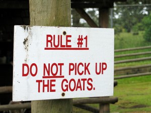 four new rules to live by