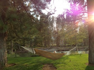 four new rules to live by