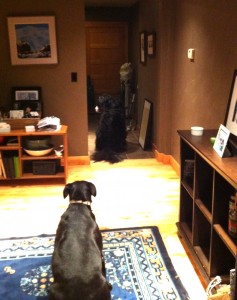 four new rules to live by