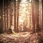 why marketing research matters