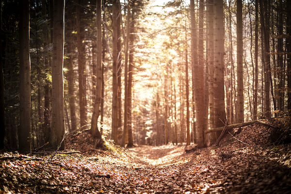 Why The Marketing Research Phase Matters