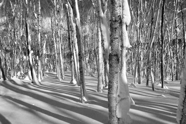 dreams that turn out not to be dreams