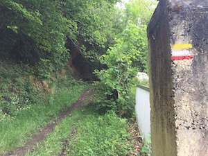 trail running in france