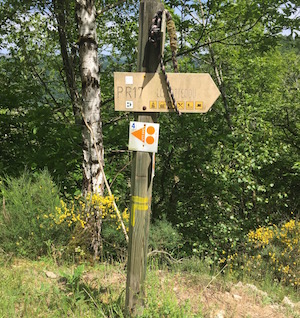 trail running in france