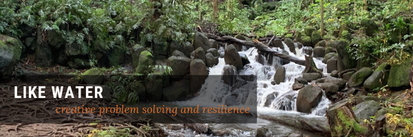 creative problem-solving