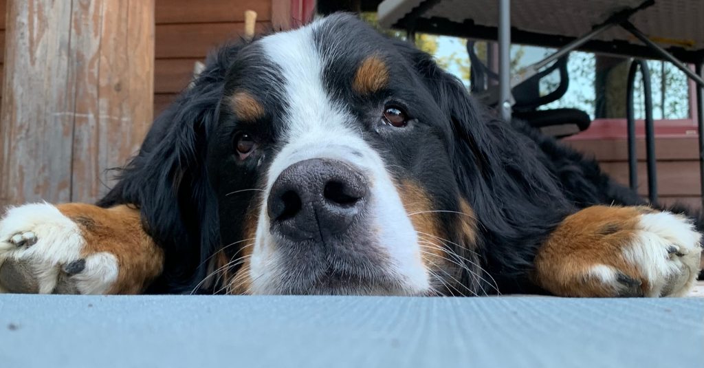 What to Do When the Inspiration Wagon has Left