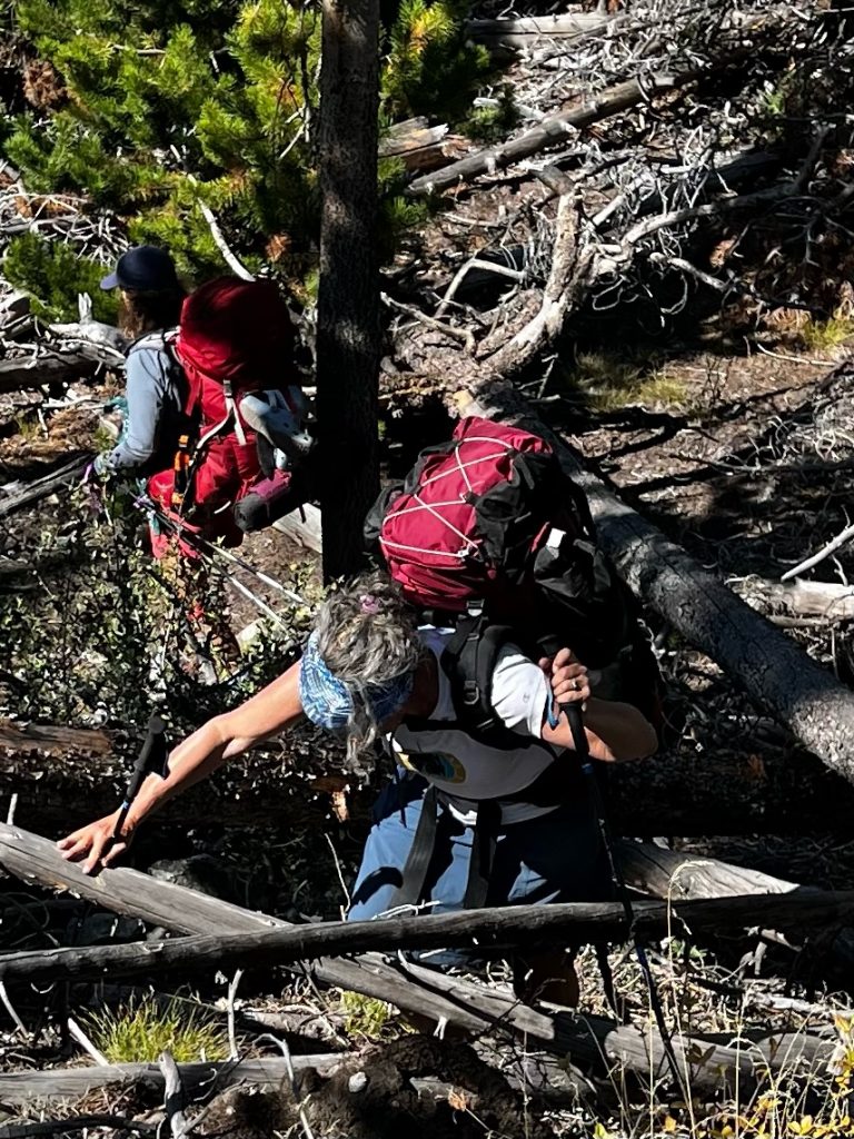 Taking Agency Over Your Story