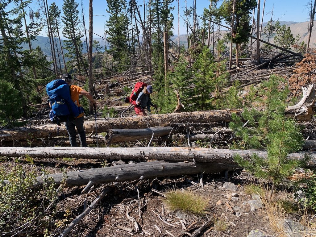 Taking Agency Over Your Story