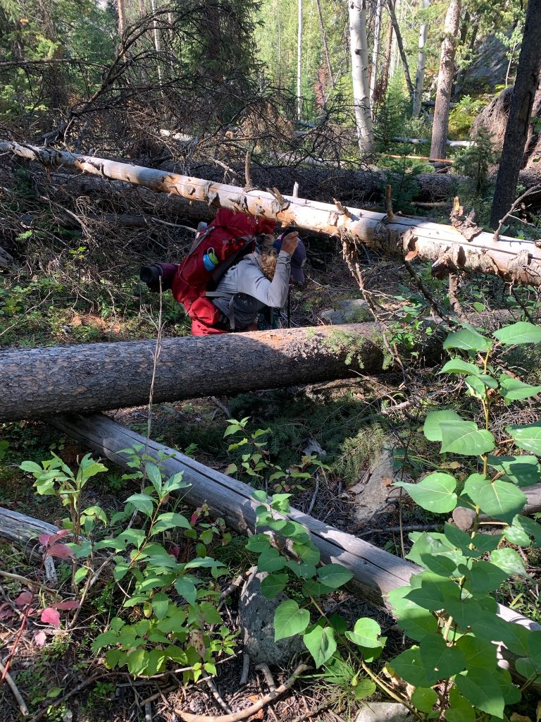 Taking Agency Over Your Story