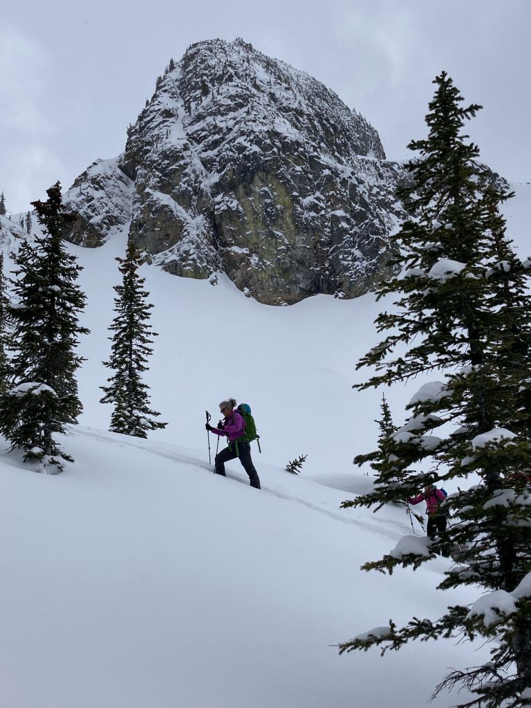 Stories Drive Performance